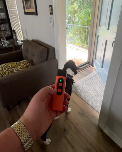 Anti-Barking Training Device